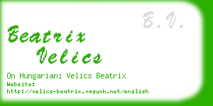 beatrix velics business card